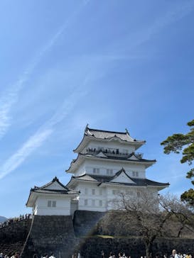 小田原城に投稿された画像（2024/3/30）