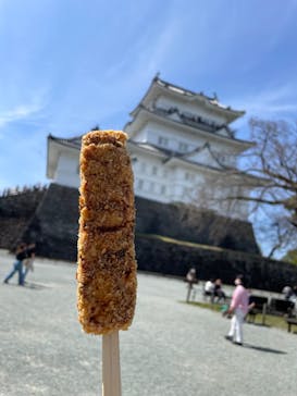 小田原城に投稿された画像（2024/3/30）