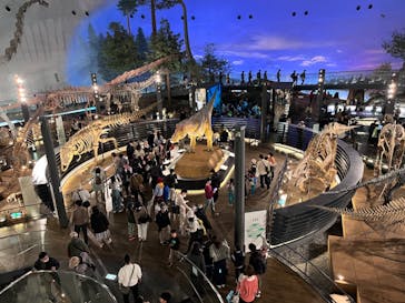福井県立恐竜博物館に投稿された画像（2024/3/30）