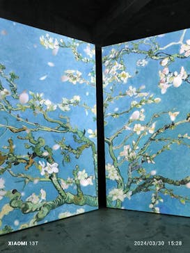 ゴッホ・アライブに投稿された画像（2024/3/30）