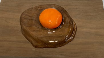 新潟県立自然科学館に投稿された画像（2024/3/30）