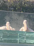 サンシャイン水族館に投稿された画像（2024/3/30）