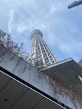 東京スカイツリーに投稿された画像（2024/3/30）
