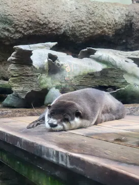 仙台うみの杜水族館に投稿された画像（2024/3/30）