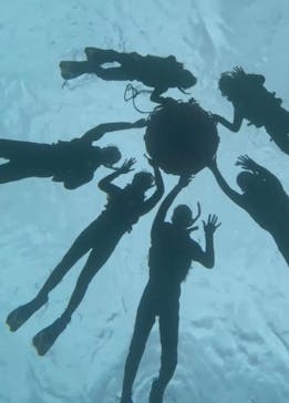 石垣島 ADVENTURE PiPi（イシガキジマアドベンチャーピピ）に投稿された画像（2024/3/30）