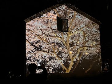 六義園に投稿された画像（2024/3/30）