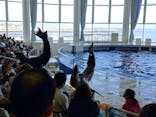 アクアワールド茨城県大洗水族館に投稿された画像（2024/3/31）