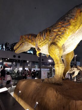 福井県立恐竜博物館に投稿された画像（2024/3/30）