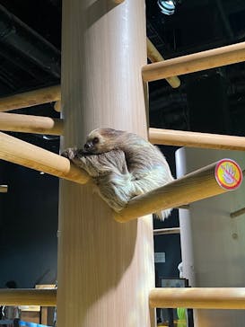 DMMかりゆし水族館に投稿された画像（2024/3/31）