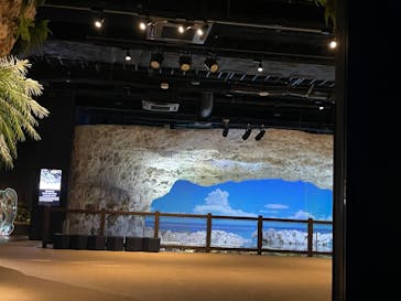 DMMかりゆし水族館に投稿された画像（2024/3/31）