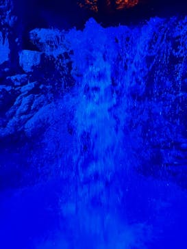 東京サマーランドに投稿された画像（2024/3/31）