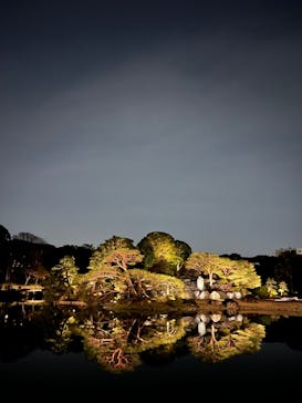 六義園に投稿された画像（2024/3/31）