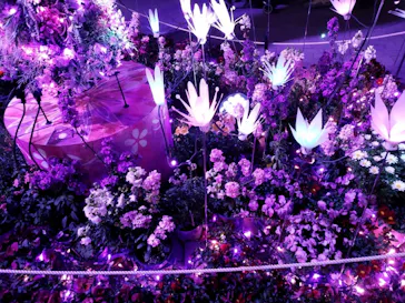 ひらかたパークに投稿された画像（2024/3/31）