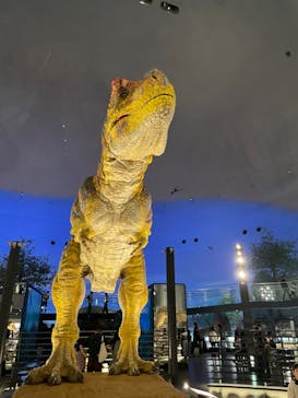 福井県立恐竜博物館に投稿された画像（2024/3/31）