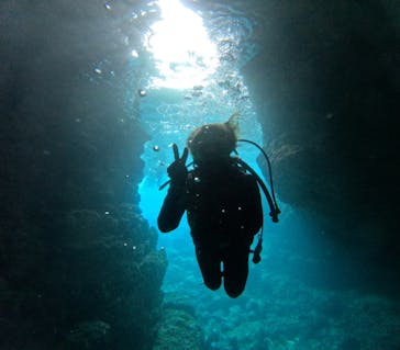 沖縄マリンサービス碧に投稿された画像（2024/3/31）