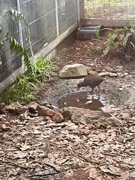 沖縄こどもの国に投稿された画像（2024/3/31）