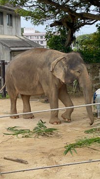 沖縄こどもの国に投稿された画像（2024/3/31）