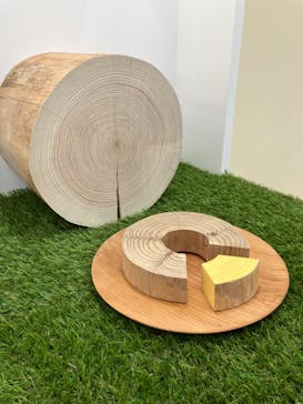 新潟県立自然科学館に投稿された画像（2024/3/31）