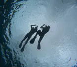 沖縄マリンサービス碧に投稿された画像（2024/3/31）