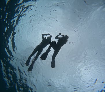 沖縄マリンサービス碧に投稿された画像（2024/3/31）