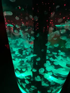 マクセル アクアパーク品川に投稿された画像（2024/3/31）