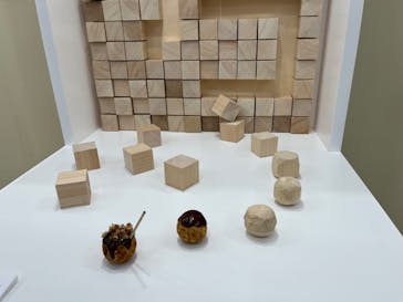 新潟県立自然科学館に投稿された画像（2024/3/31）