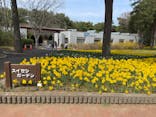 国営ひたち海浜公園プレジャーガーデンに投稿された画像（2024/3/31）