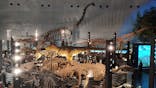 福井県立恐竜博物館に投稿された画像（2024/3/31）
