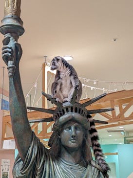 アニタッチアクアシティお台場に投稿された画像（2024/3/31）