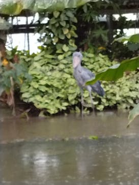 神戸どうぶつ王国に投稿された画像（2024/3/31）