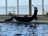 アクアワールド茨城県大洗水族館に投稿された画像（2024/3/31）