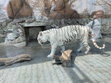 東武動物公園に投稿された画像（2024/3/31）