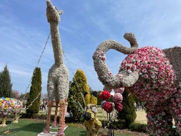 東武動物公園に投稿された画像（2024/3/31）
