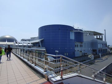名古屋港水族館に投稿された画像（2024/3/31）