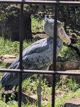 千葉市動物公園に投稿された画像（2024/3/31）