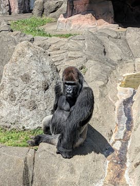 千葉市動物公園に投稿された画像（2024/3/31）