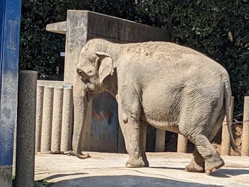 千葉市動物公園に投稿された画像（2024/3/31）