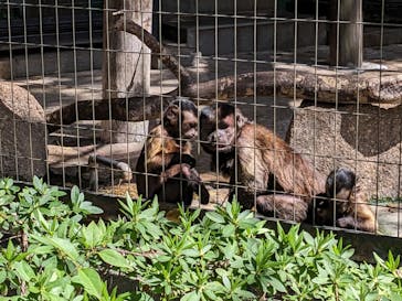 千葉市動物公園に投稿された画像（2024/3/31）
