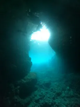 武藤潜水に投稿された画像（2024/3/31）