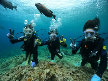 武藤潜水に投稿された画像（2024/3/31）
