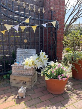 横浜イングリッシュガーデンに投稿された画像（2024/3/31）