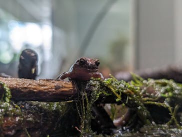 AOAO SAPPOROに投稿された画像（2024/3/31）