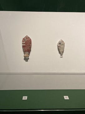 特別展「古代メキシコ ーマヤ、アステカ、テオティワカン」に投稿された画像（2024/3/31）