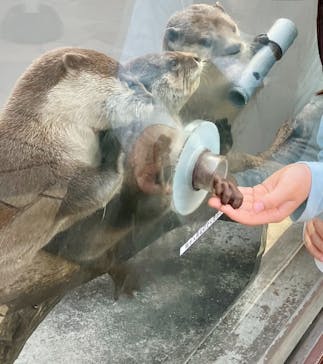 横浜・八景島シーパラダイスに投稿された画像（2024/3/31）