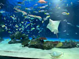 サンシャイン水族館に投稿された画像（2024/3/31）