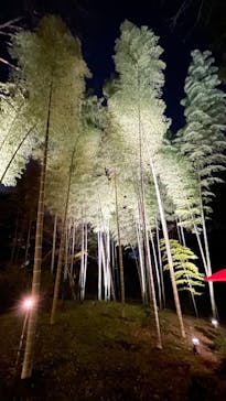 六義園に投稿された画像（2024/3/31）