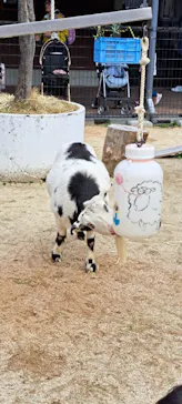 天王寺動物園に投稿された画像（2024/3/31）