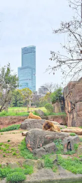 天王寺動物園に投稿された画像（2024/3/31）