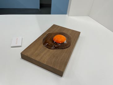 新潟県立自然科学館に投稿された画像（2024/3/31）