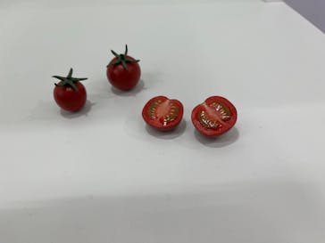 新潟県立自然科学館に投稿された画像（2024/3/31）